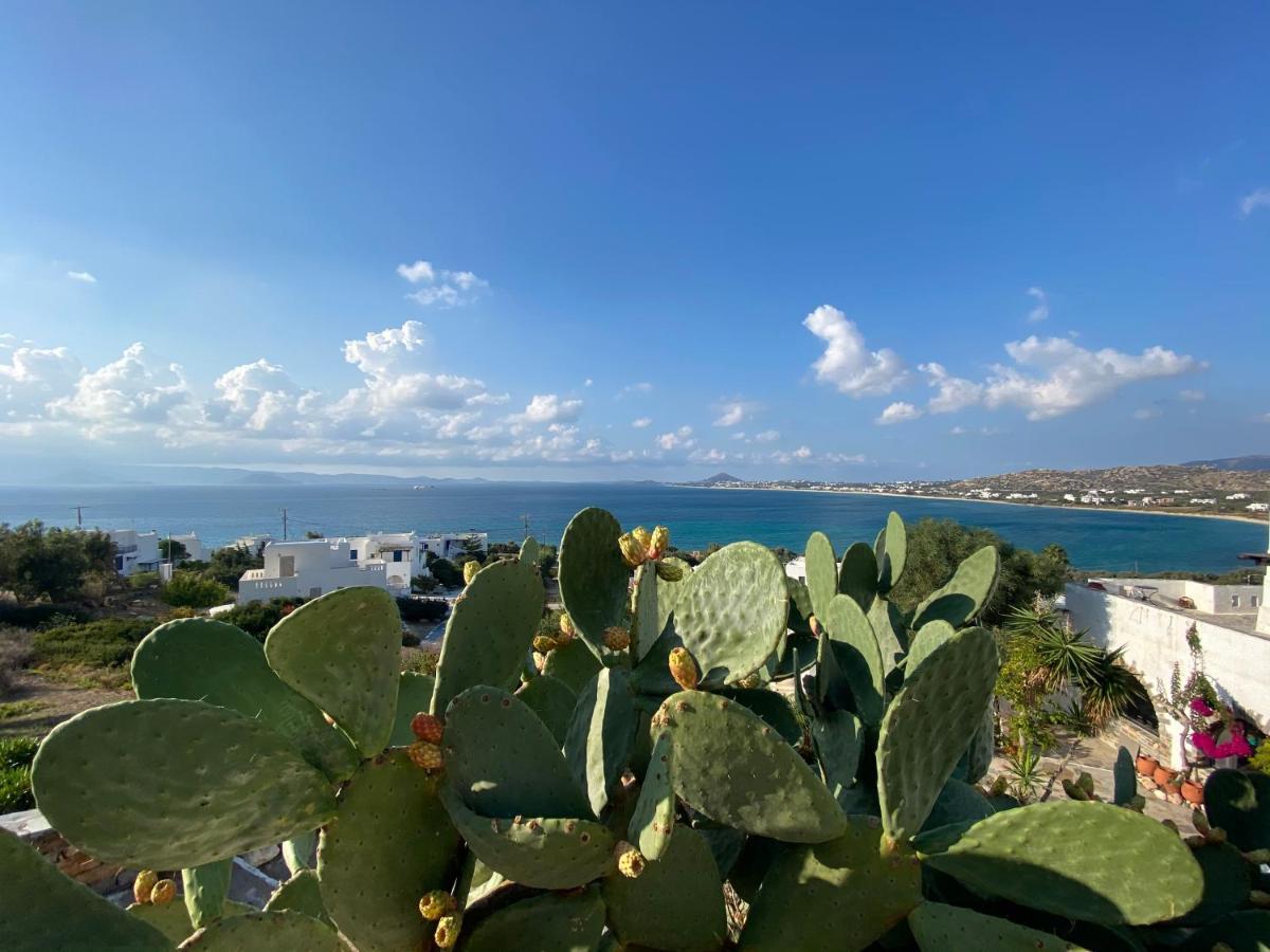 Azure Blue Studios Mikri Vigla Bagian luar foto